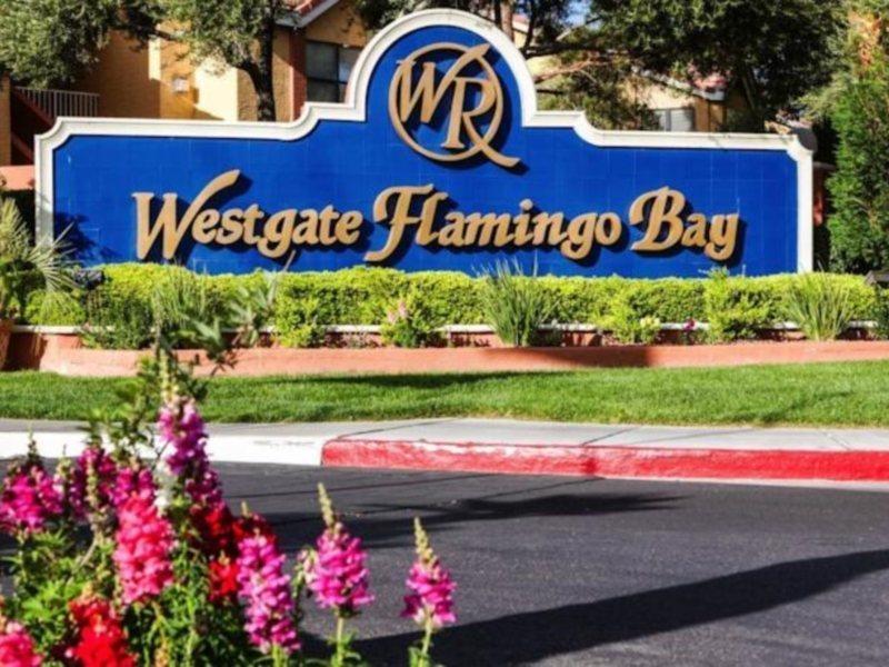 Westgate Flamingo Bay Resort Las Vegas Ngoại thất bức ảnh